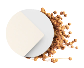 Papier z lnu